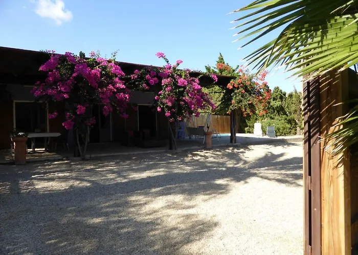 Cortijillo Violeta